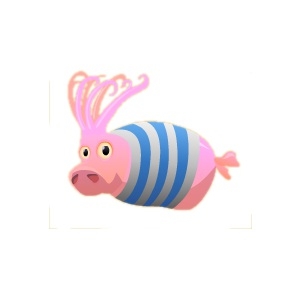 Sailor Piglet Squid